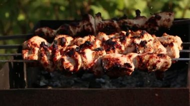 Yeşil arka planda ızgarada et kebabı. Yaz tatili ve geleneksel barbekü pikniği. Izgara et shashlik..