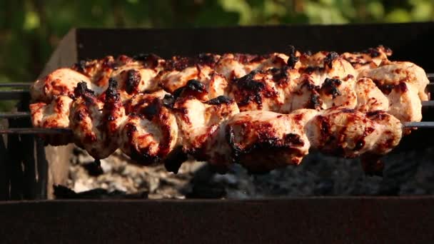 烤架上的肉串烤在绿色的背景上 暑假和传统户外烧烤野餐 烤肉沙士力克 — 图库视频影像