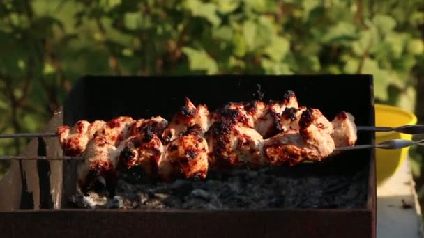 Carne Kebab Grelha Fundo Verde Férias Verão Tradicional Churrasco Livre — Vídeo de Stock