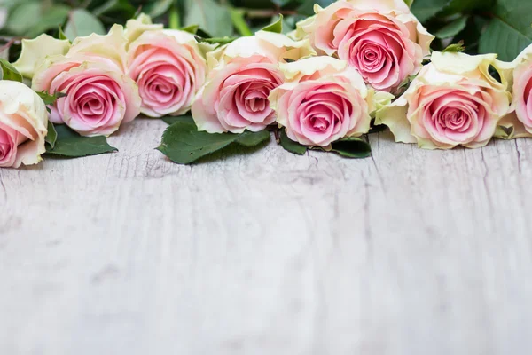 Rosas em um fundo de madeira — Fotografia de Stock