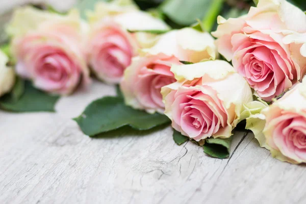 Roses on a wooden background — Stock Photo, Image