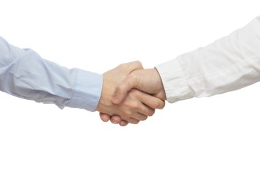 Successful business people handshaking  clipart
