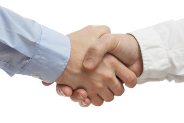 Successful business people handshaking  clipart