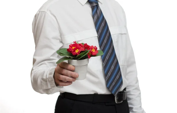 Romantic businessman — Stock Photo, Image