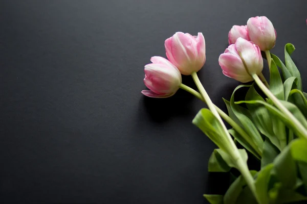 Siyah arkaplanda laleler