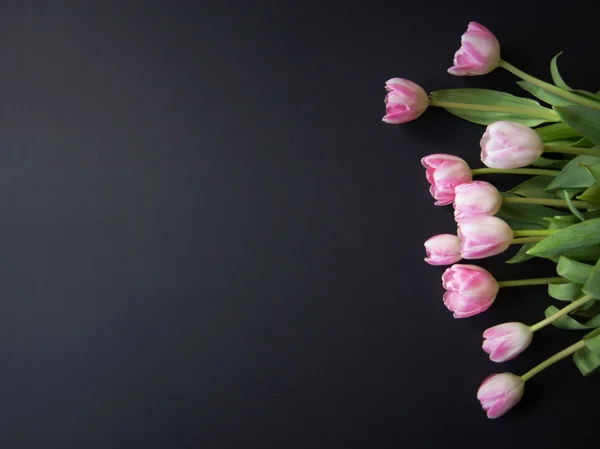 Siyah arkaplanda laleler