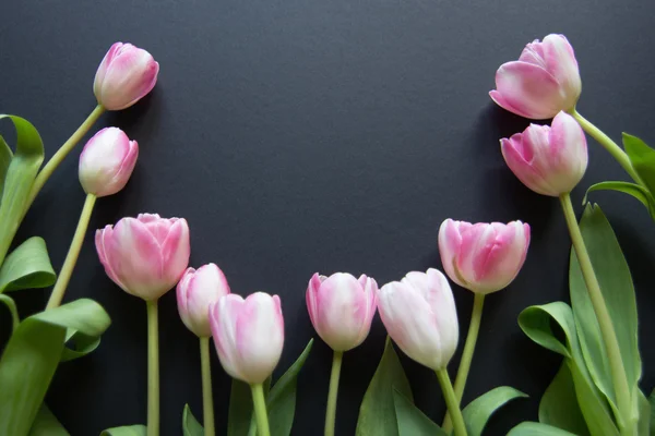 Siyah arkaplanda laleler