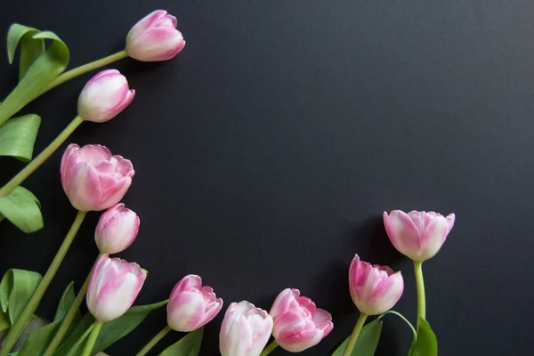 Tulips on a black background — Stock Photo, Image