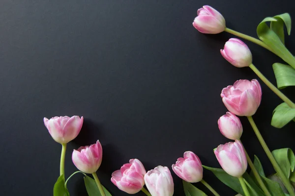 Tulips on a black background — Stock Photo, Image