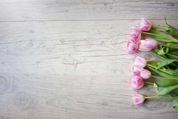 Tulipanes sobre fondo de madera — Foto de Stock