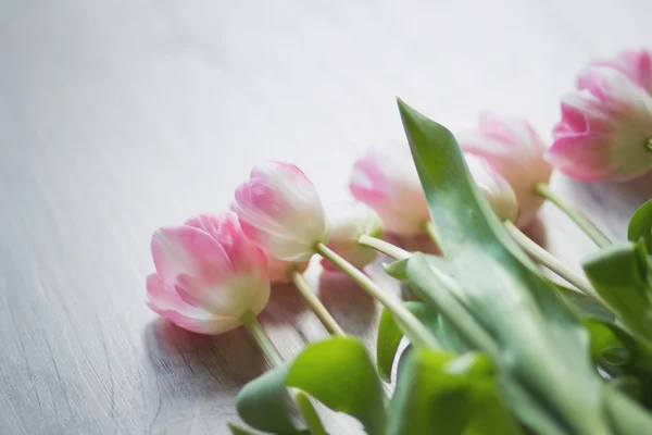 Tulpen auf einem Holzgrund — Stockfoto