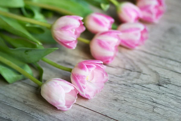 Tulipány na dřevěné pozadí — Stock fotografie