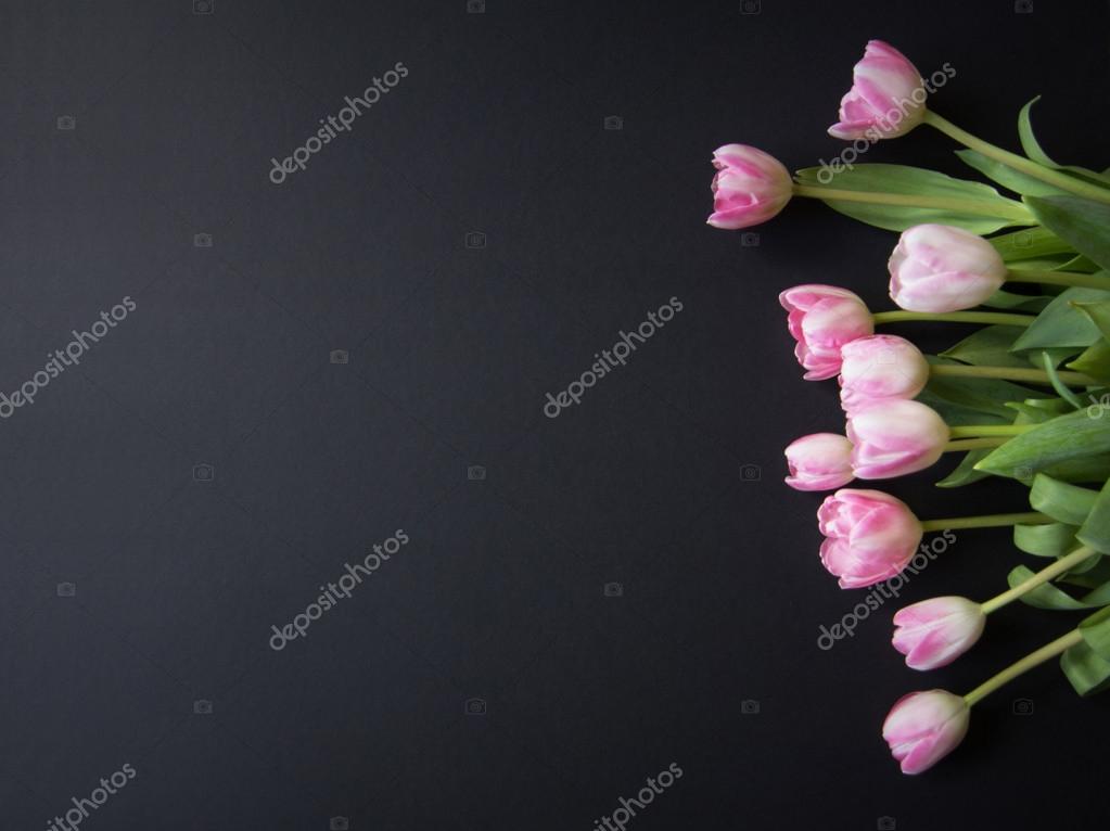 Tulipanes negros fotos de stock, imágenes de Tulipanes negros sin royalties  | Depositphotos