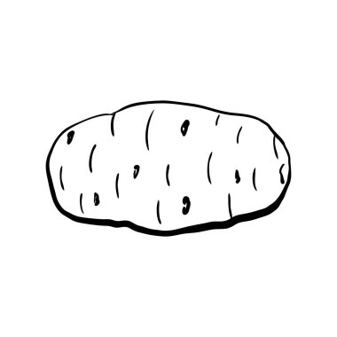 El yapımı patates eskizi. Çizgi film tarzında sağlıklı sebzelerin doğrusal sanatı beyaz arka planda izole edilmiştir. Mürekkep çizimi. Menü için vektör illüstrasyonu, çiftçi pazarları, yazdırma.