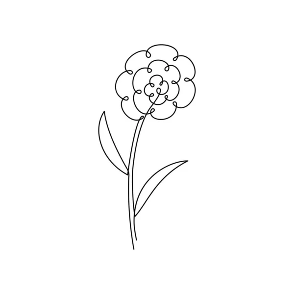 Continuous Line Drawing Flower Drawn Simple Style Black Isolated White — Stock Vector