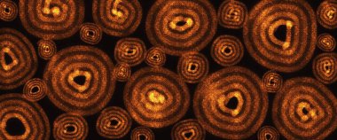 Siyah arkaplanda kahverengi ve altın halkalar