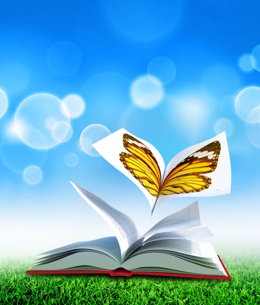 Livro das borboletas — Fotografia de Stock