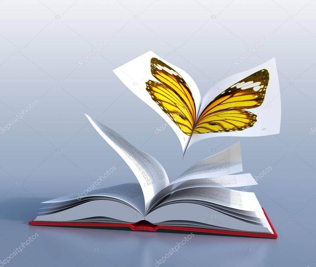 Butterfly book