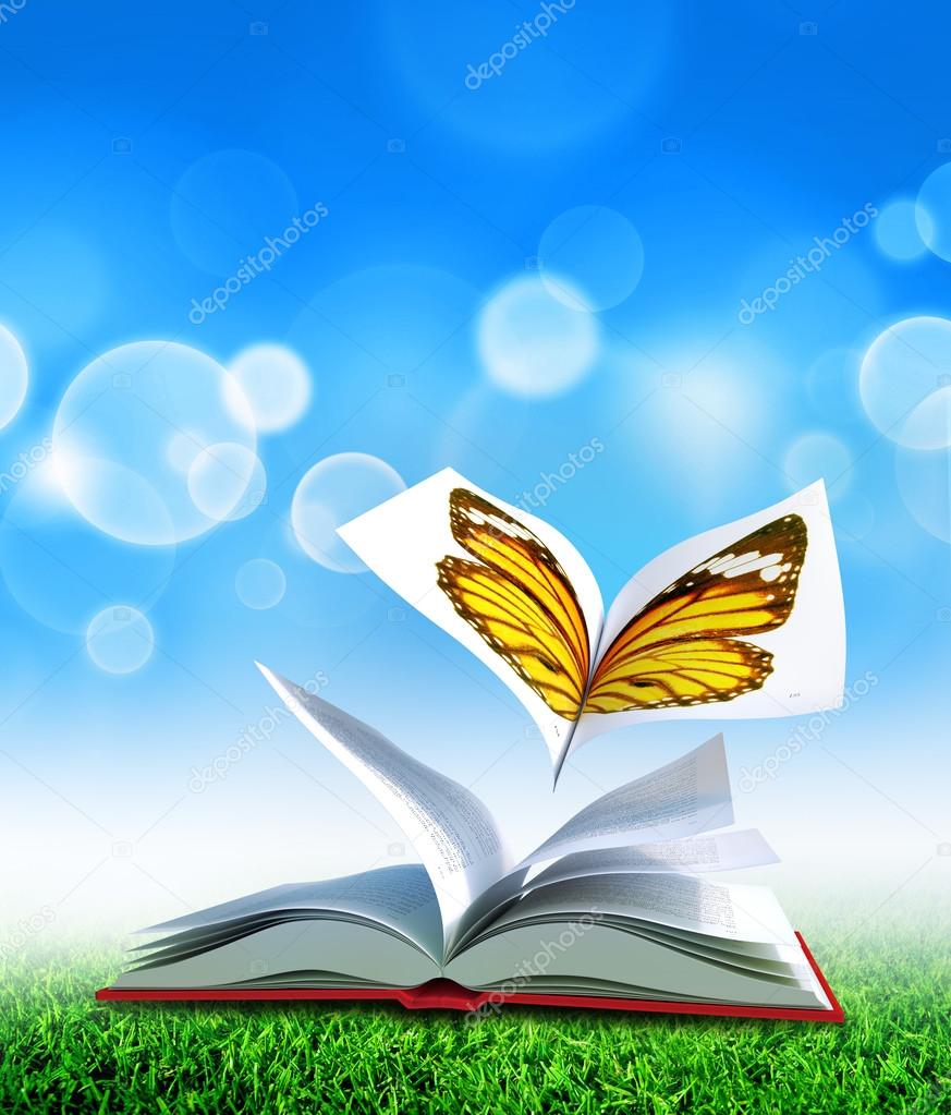 Butterfly book