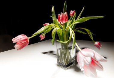 Bir vazo içinde pembe ve kırmızı laleler