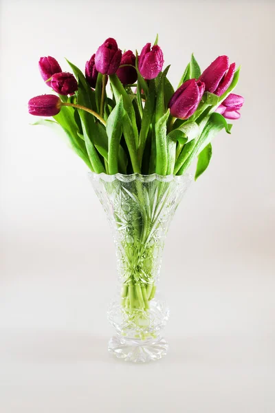 Tulips flowers with drops of dew in crystal vase — Stock Photo, Image