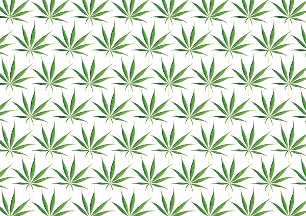 Cannabis sömlös vitt mönster — Stockfoto