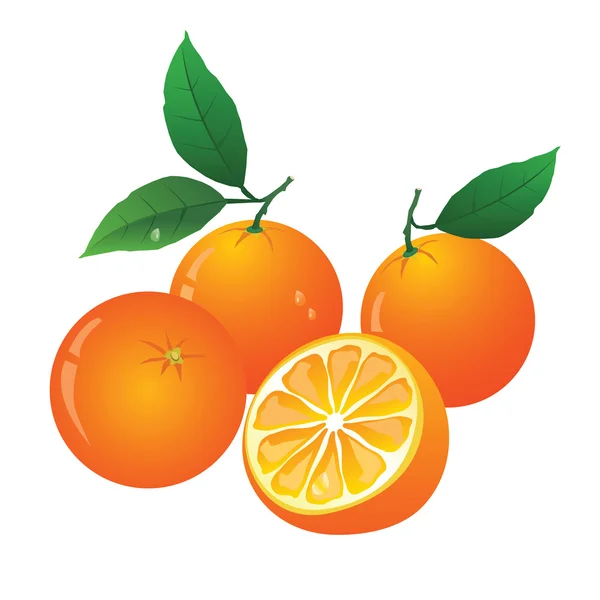 Naranjas — Vector de stock