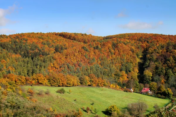 Herbst — Stockfoto