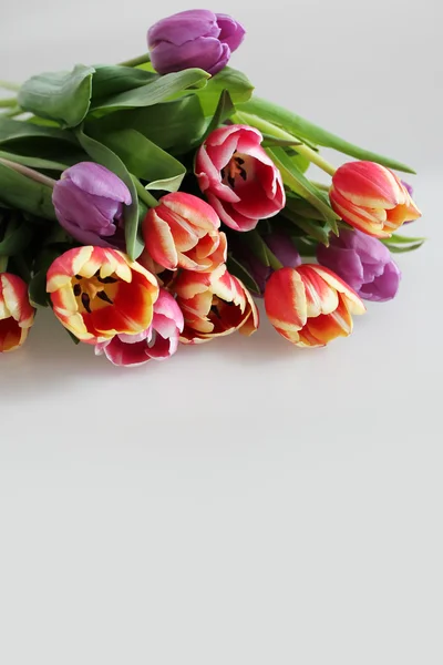 Bouquet di tulipani — Foto Stock