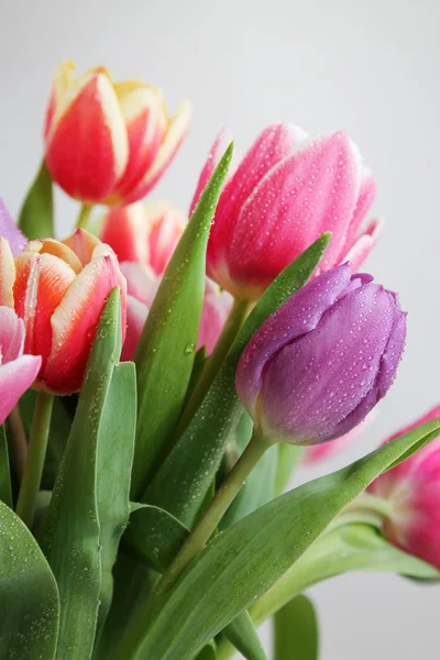 Tulpen boeket — Stockfoto