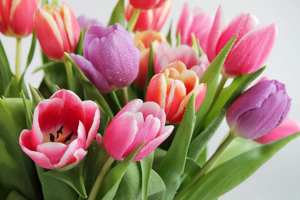 Tulips bouquet Royalty Free Stock Images