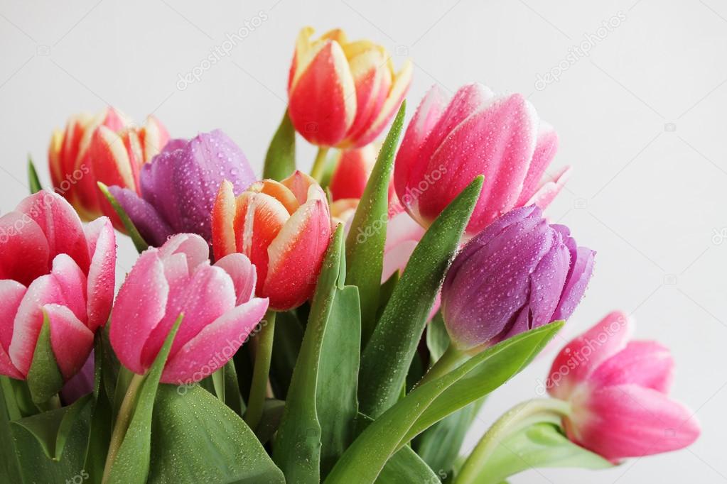 Tulips bouquet