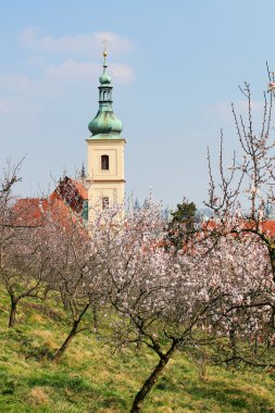 Bahar Prag zirvesinde