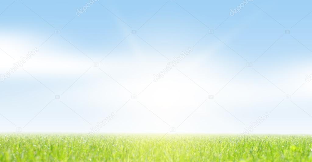 Sky and grass