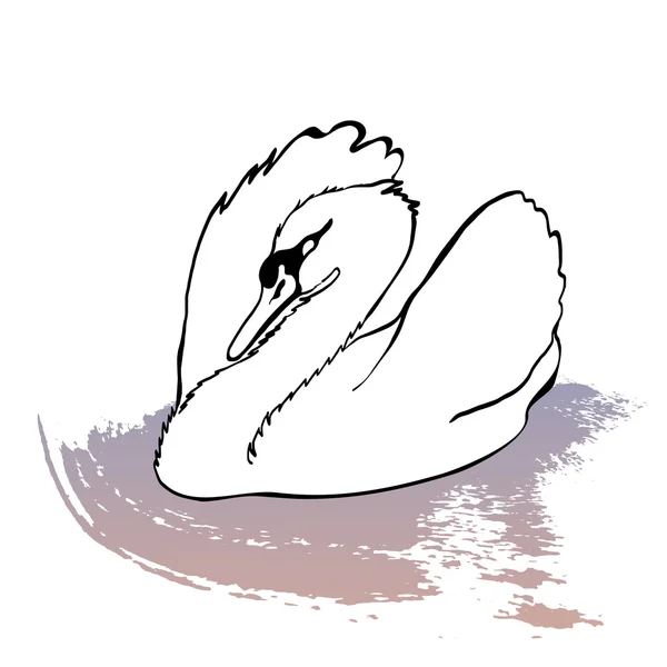 Cygne dessiné à la main — Image vectorielle