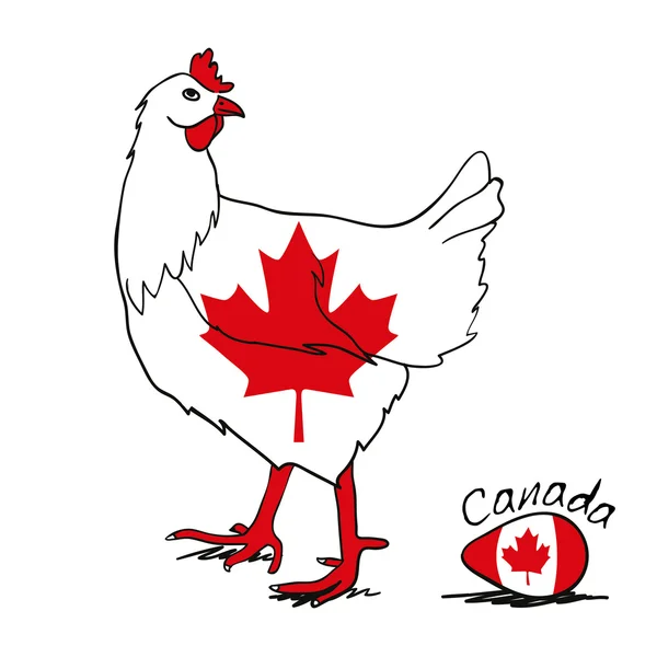 Galinha canadense — Vetor de Stock