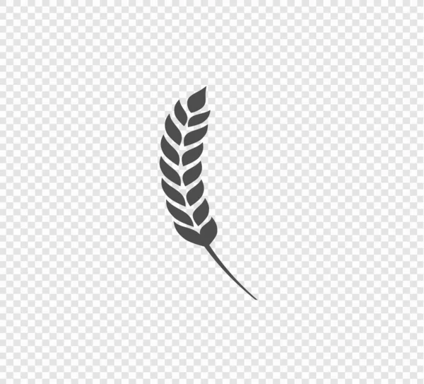 Wheat Ears Collection Transparent Background Agricultural Harvest Wheat Spike Silhouette — Stock Vector