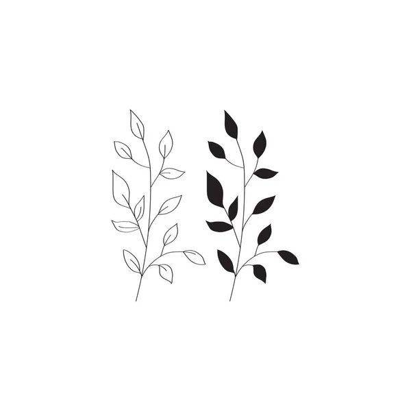 Ручные Векторные Иллюстрации Ботанические Ветви Эвкалипта Папоротника Цветочные Элементы Дизайна — стоковый вектор