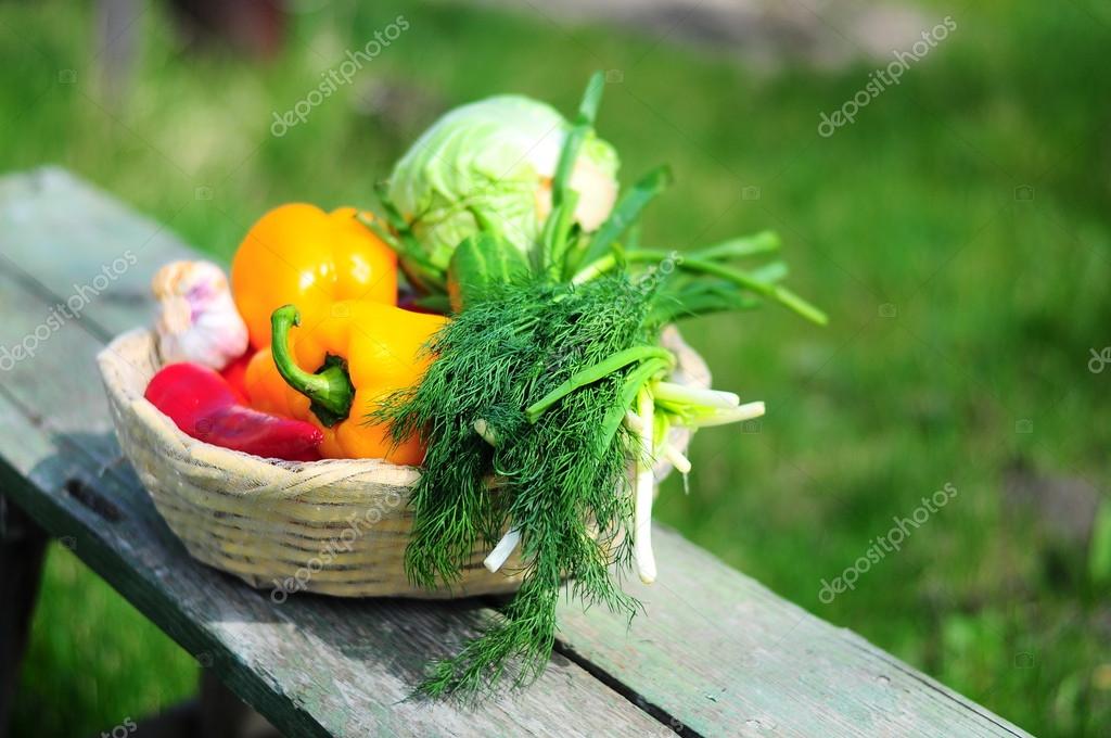 Vegetable picnic — Stock Photo © Littlemagic 60352283