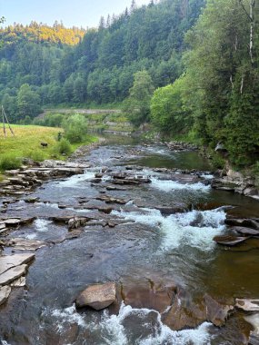Parlak mavi bir gökyüzünün altında kayalık kıyılar ve yemyeşil orman arasında akan hızlı bir nehrin manzarası. Mükemmel doğa manzarası arka planı.