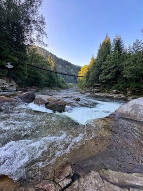 Parlak mavi bir gökyüzünün altında kayalık kıyılar ve yemyeşil orman arasında akan hızlı bir nehrin manzarası. Mükemmel doğa manzarası arka planı.