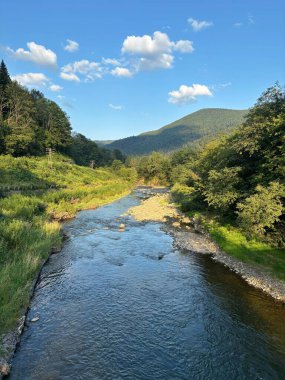 Parlak mavi bir gökyüzünün altında kayalık kıyılar ve yemyeşil orman arasında akan hızlı bir nehrin manzarası. Mükemmel doğa manzarası arka planı.