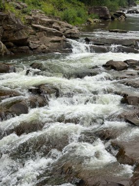 Bereketli bir ormandaki kayalık taşların üzerinde çağlayan bir dağ deresinin resimli görüntüsü. Temiz nehir suyu ve huzurlu atmosferi olan doğal manzara..