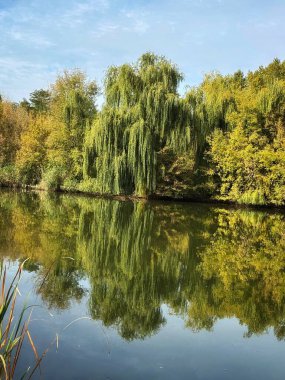 Bulutlu gökyüzü ile yeşil ağaçların arasından akan huzurlu bir nehir..