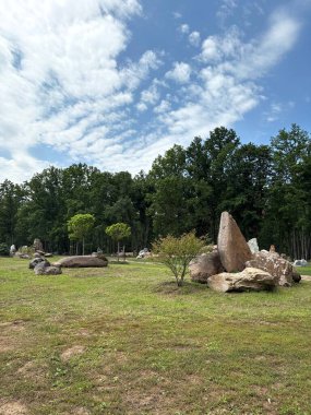 Dekoratif ağaç ve taş oluşumları olan kayalık bir bahçe manzaralı bir yer, Ukrayna 'da açık hava parkı.