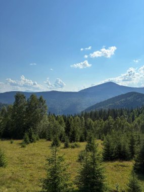 Yeşil ormanı ve mavi yaz gökyüzü olan dağ manzarası. Çam ağaçları ve bulutlarla kaplı tepelerin manzarası