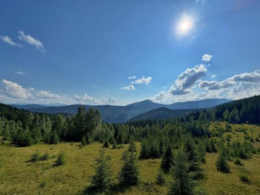 Yeşil ormanı ve mavi yaz gökyüzü olan dağ manzarası. Çam ağaçları ve bulutlarla kaplı tepelerin manzarası