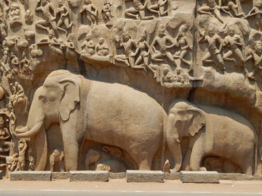 Hindistan 'ın Tamil Nadu Eyaleti' ndeki antik Mahabalipuram kentindeki Anıtlar Grubu 'nda fil yardımları