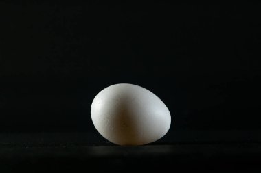 Siyah arka planda bir tavuk yumurtası