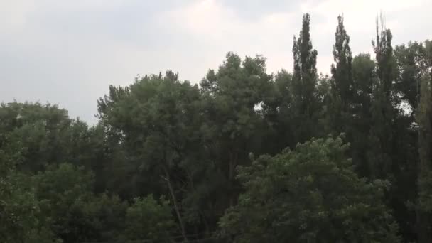 pluie vent mauvais temps 